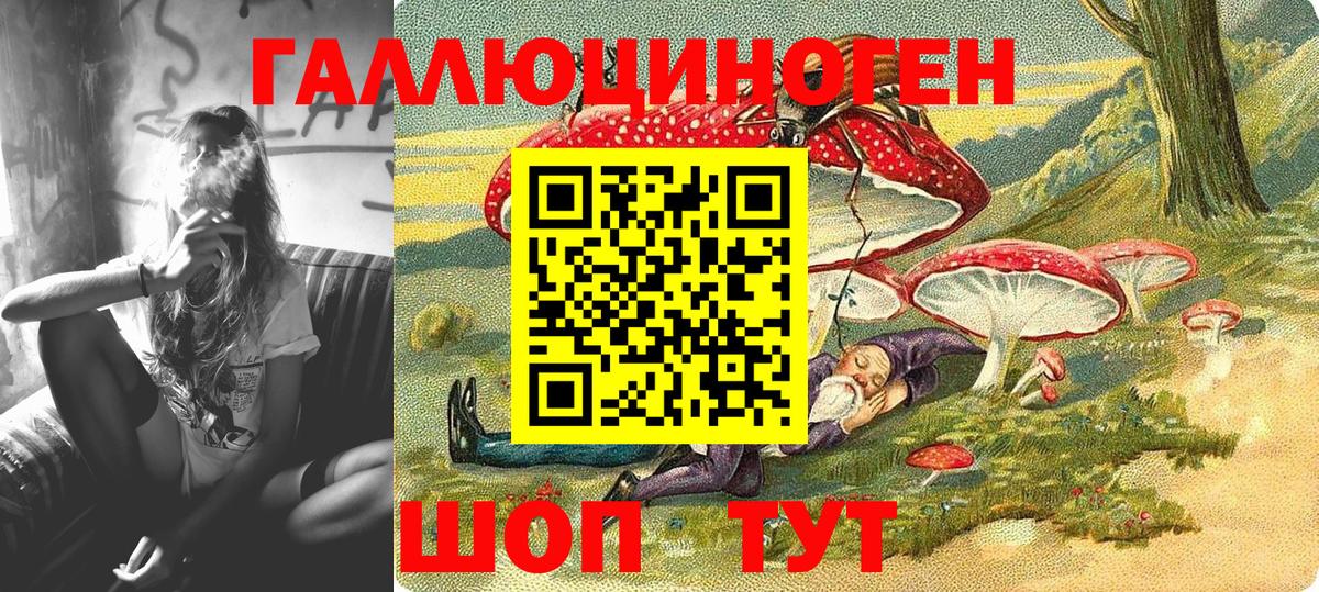 Сибай  Псилоцибиновые грибы Cubensis  Вход с VPN 
